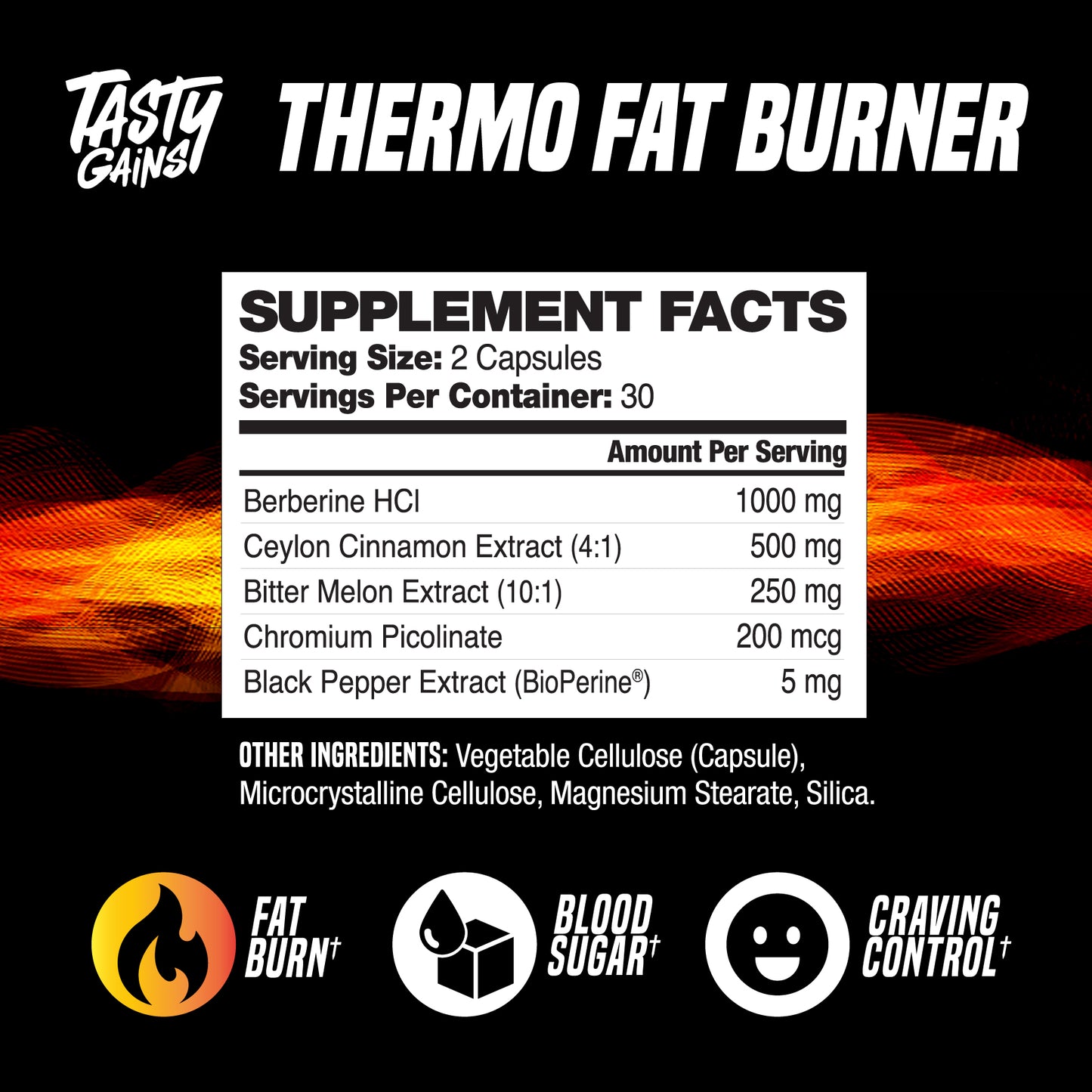Tasty Gains Thermo Fat Burner