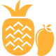 Variant icon
